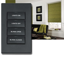 motorized drapes switch